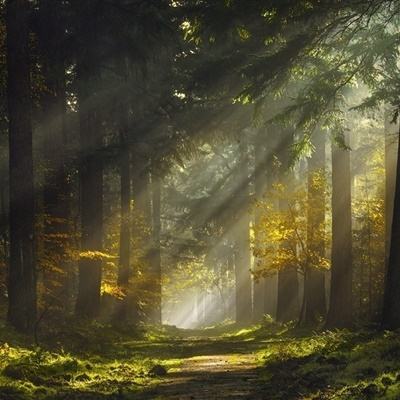 bob体体育app下载