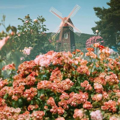 fb体育官方网站入口