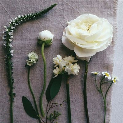 波胆app官网下载手机版截图