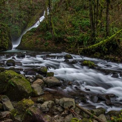金年汇app官方网