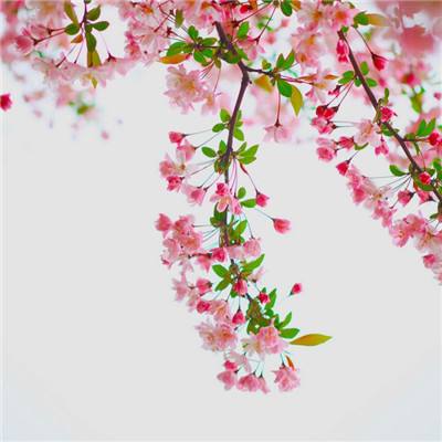 波胆app官网下载手机版截图